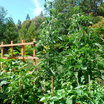 JD Garden, Hillsborough
