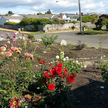Edible Front Yard