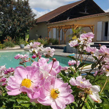 EVASION ET EXOTISME