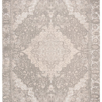 Safavieh Classic Vintage Collection Clv110g Silver Rug