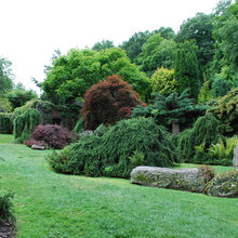 ggarden