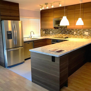 Kitchen Remodel/Renovation