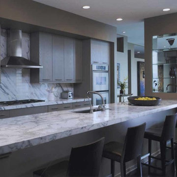 Chicago Penthouse