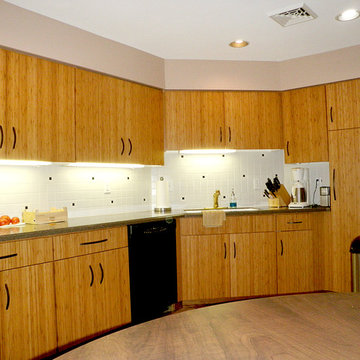 Exotic Bamboo Wood - Flat Panel Door in Natural Finish