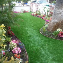 Landscape Ideas