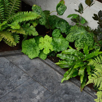 South Granville Patio