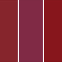 color palettes