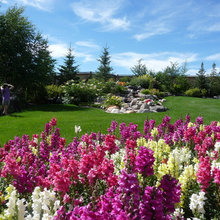 Yard and Gardening
