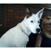 Dottie Milligan's photo