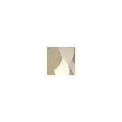 P H's photo