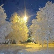 Michelle Doose's photo