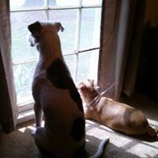 Roxanne Agostini's photo