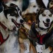 Megan Routley's photo