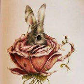 Nancy Joyce's photo