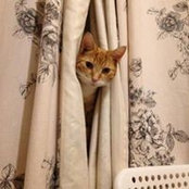 Emma Field's photo