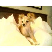 Sharon Chavis's photo