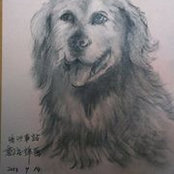 I-Wen Lo's photo