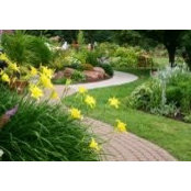 Photo de McCusker Landscaping Inc.