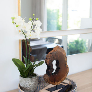 Project Serenity, Design Only Package