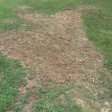 Stump removals