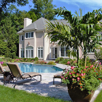 Modern Pool Spa & Outdoor Living Space