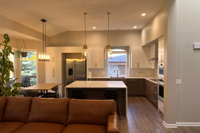 Kitchen - transitional kitchen idea in Denver