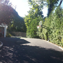 drives and pathways and landscaping