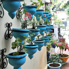 Vertical Gardening
