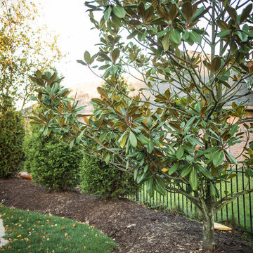 Landscape Designs