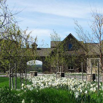 Spring garden planting at 'The Birches'