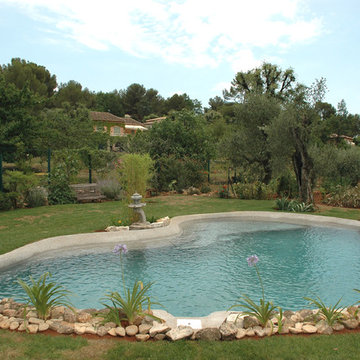 Piscine nature