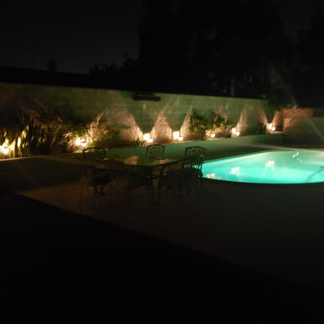 Backyard clean up and remodel