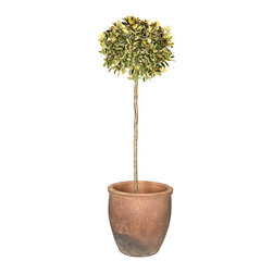 Old Ironstone Giant Planter - Outdoor Plant Pots & Planters