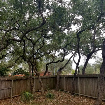 Landscape Pictures