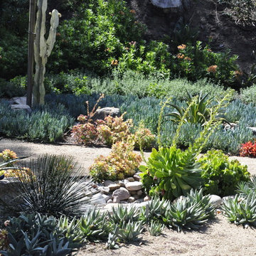 Rancho San Diego Mediterranean Garden