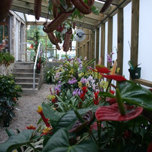 Sun room addition