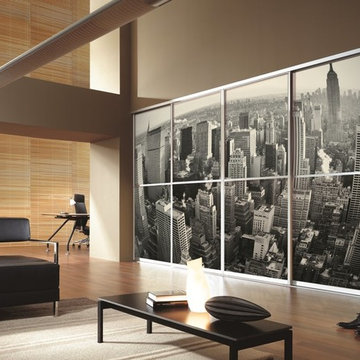 Custom Graphic Sliding Doors - "Decorativo"