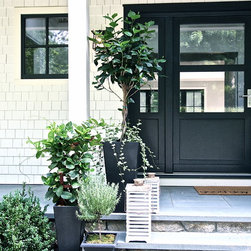 European Doors - Front Doors