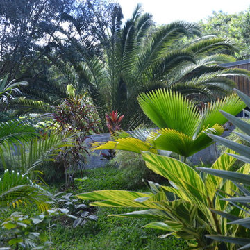 Bain de soleil