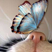 Natalia Mateva's photo