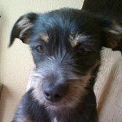 Henrietta Zander's photo