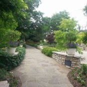 Kim Tran's photo