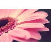 Nadia Galindo's photo