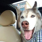 Matt Malaquias's photo
