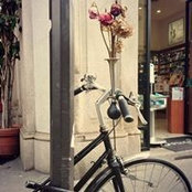 Luis Ávila Díaz's photo