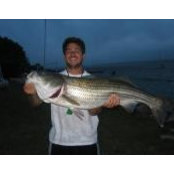 Chad Wood's photo