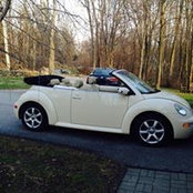 Jamie Knox's photo