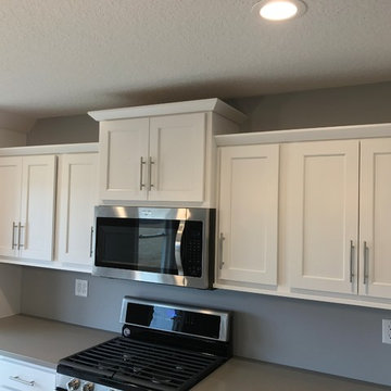 Milan, IL New Construction MSI Quartz Koch Express Cabinets White and Java