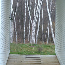 outdoors