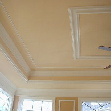Traditional Crown Molding and Tray Ceiling